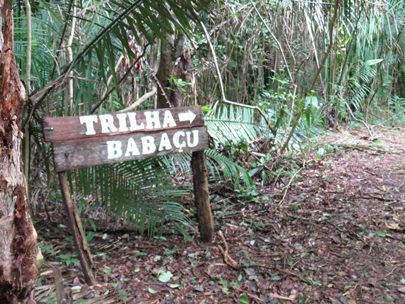 TRILHA"